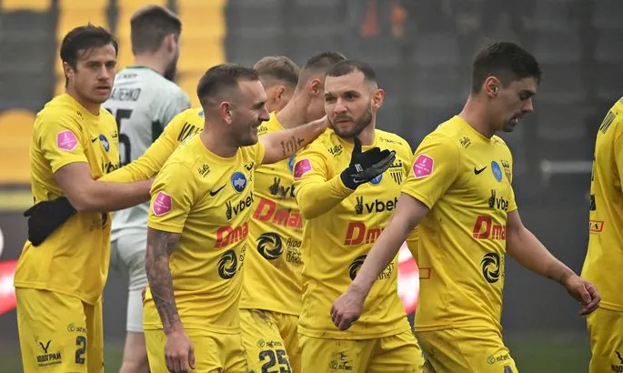 Курйоз у Першій лізі: собака вибігла на поле і зупинила матч