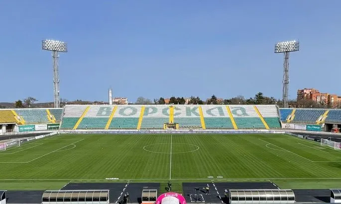 Вперше на стадіоні Ворскли помітили незвичну тварину — неочікуваний гість матчу